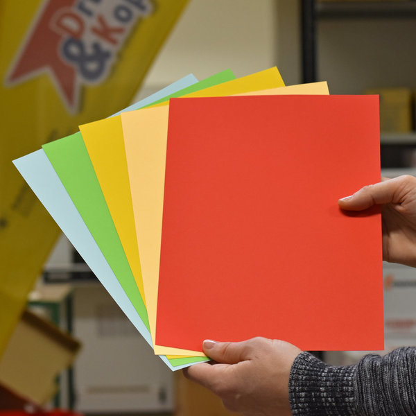 IQ Color - DIN A4, Karton 160g, färbig, pro Blatt